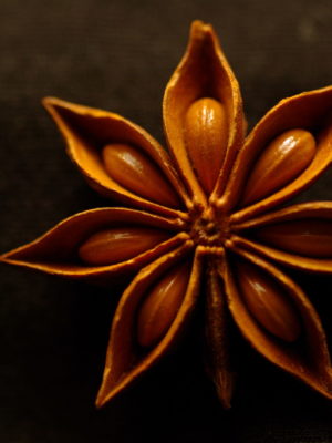 Star_Anise_symbol_of_spice